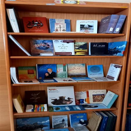 نویسندگان محلی